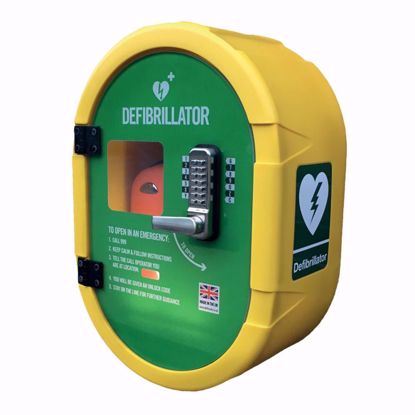Defibsafe 2 Wall Mountable Defibrillator Cabinet 